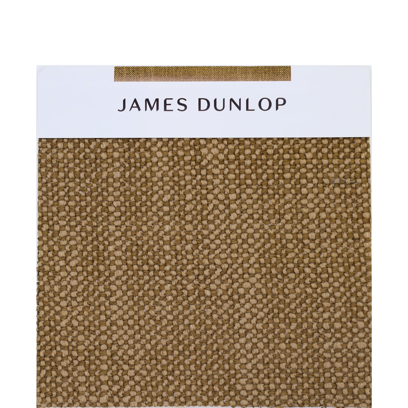 JD Grounded Bisque Swatch