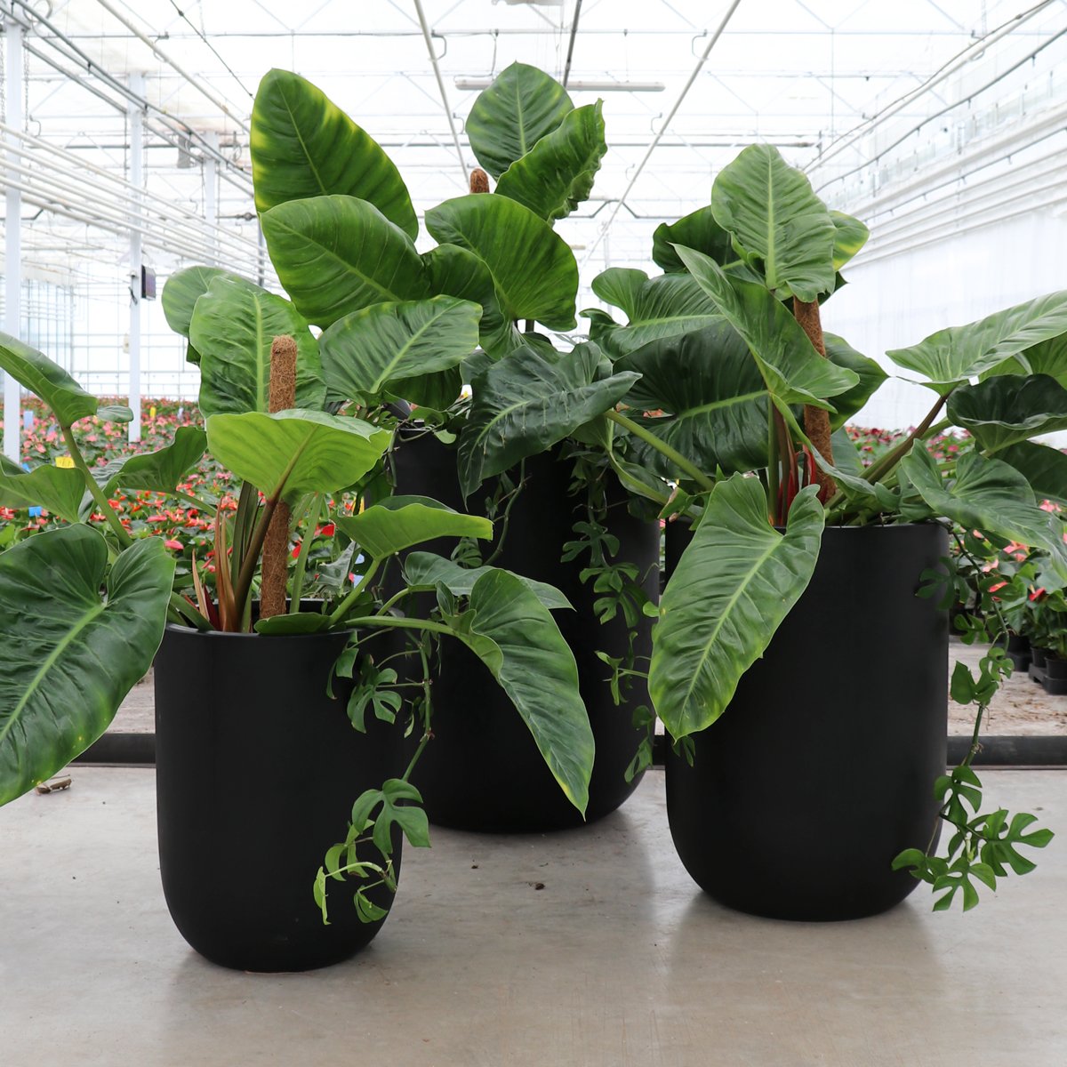 Oreti Black Planter - Large