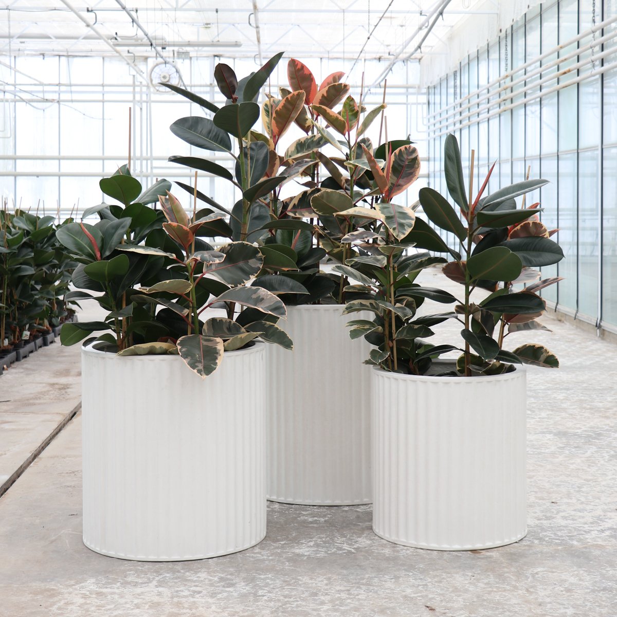 Piako Ribbed Cylinder Planter Medium - Chalk