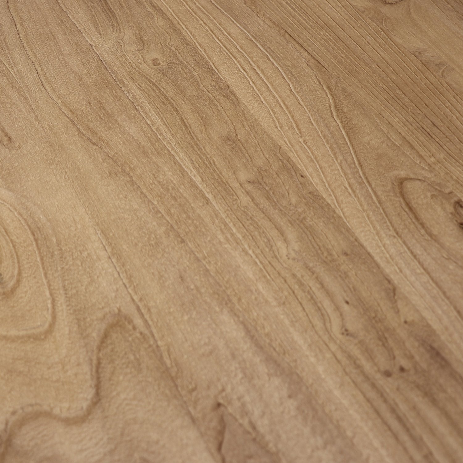 Olma Elm Coffee Table - Natural