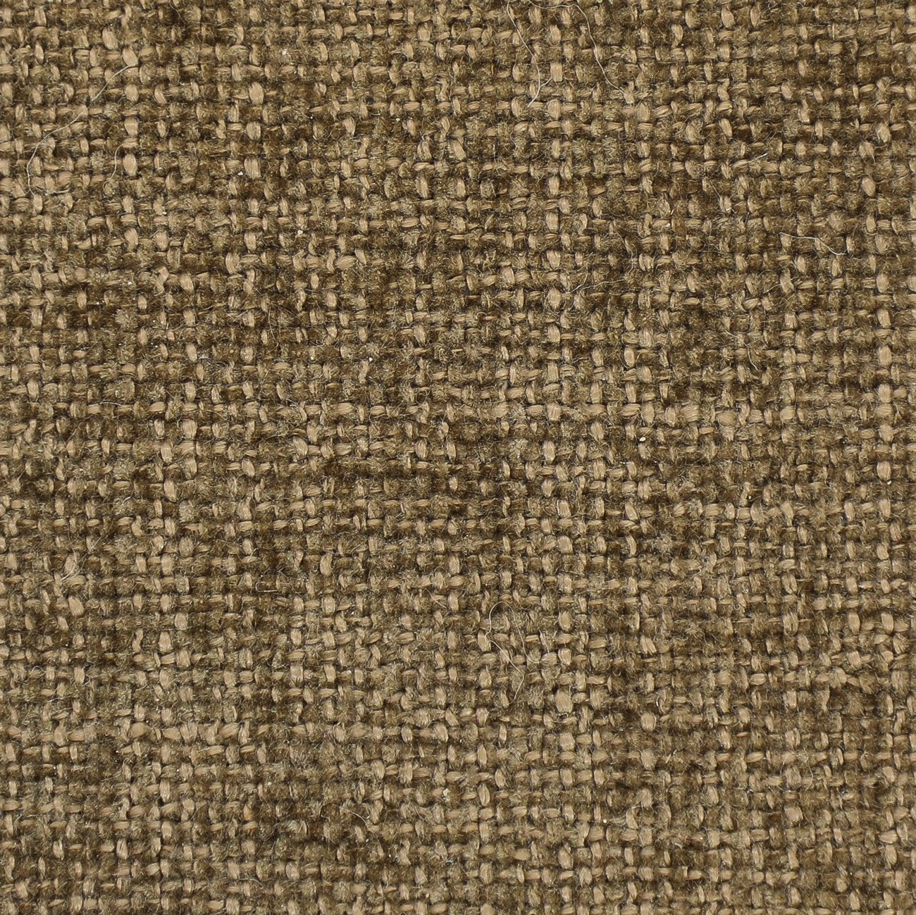 Bardot Toffee Swatch