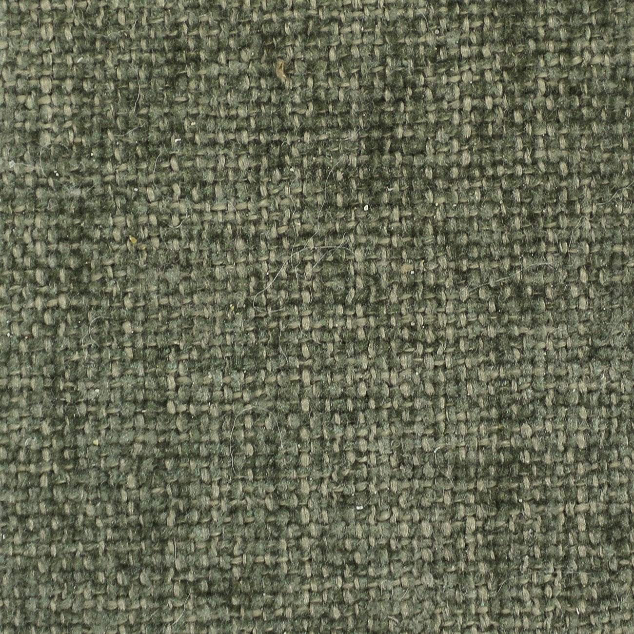 Bardot Herb Swatch