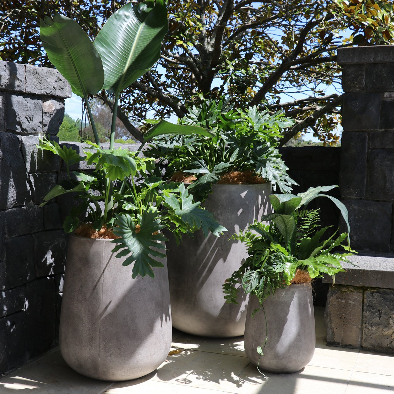 Karamea Cement Planter - Large