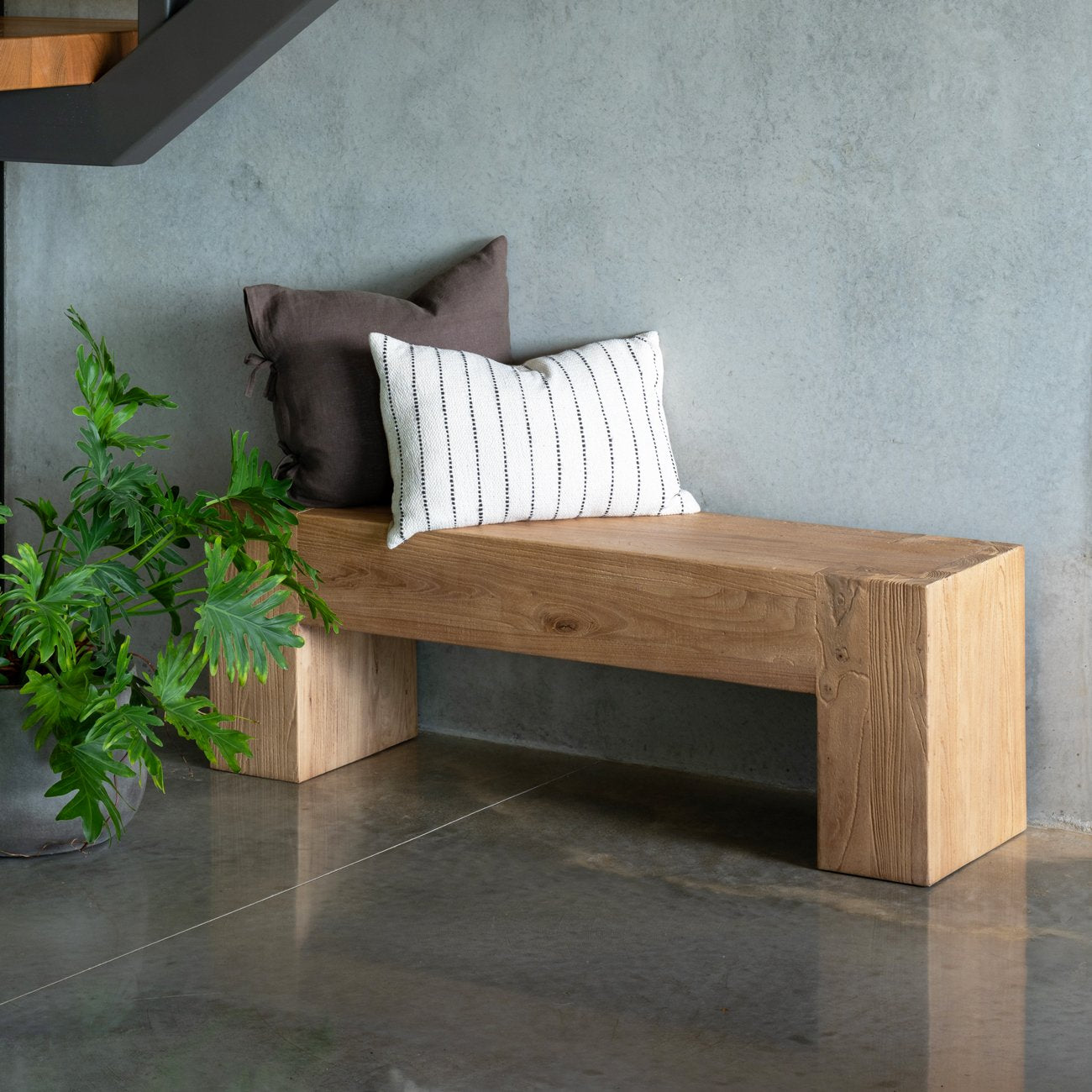 Olma Elm Bench - Natural
