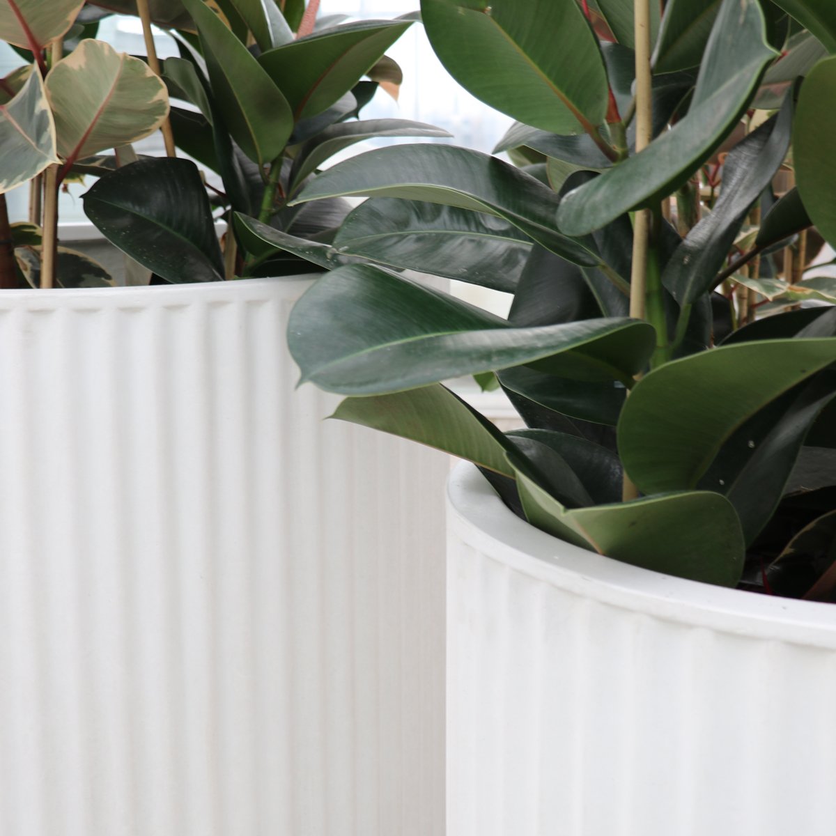 Piako Ribbed Cylinder Planter Small - Chalk