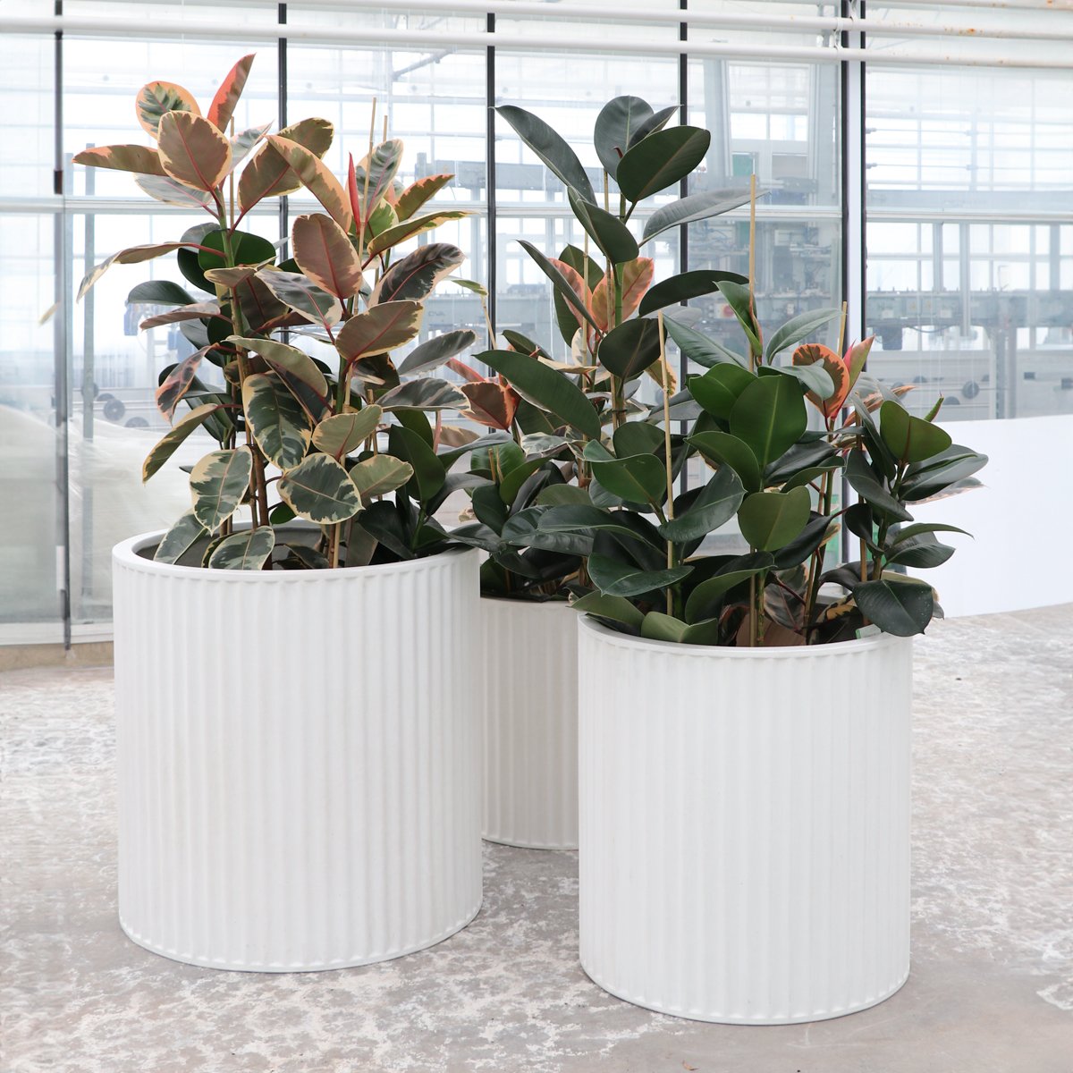 Piako Ribbed Cylinder Planter Small - Chalk